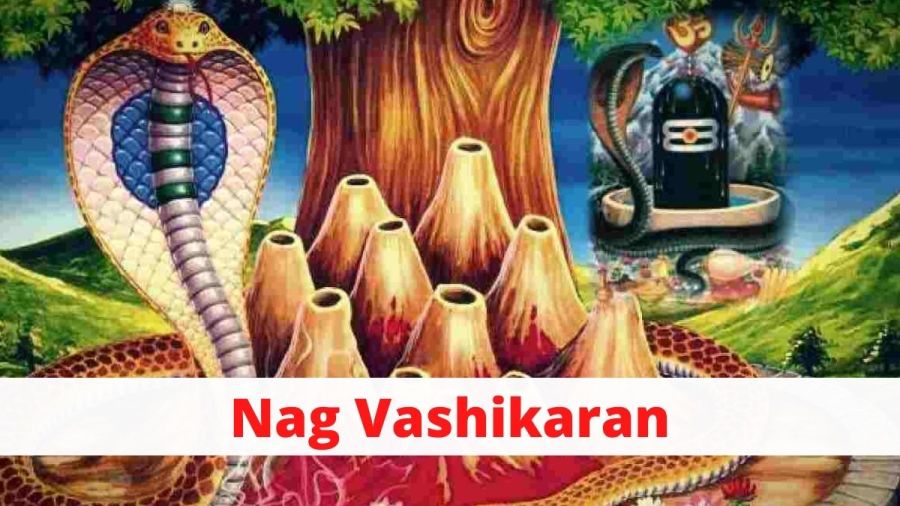 Nag Vashikaran