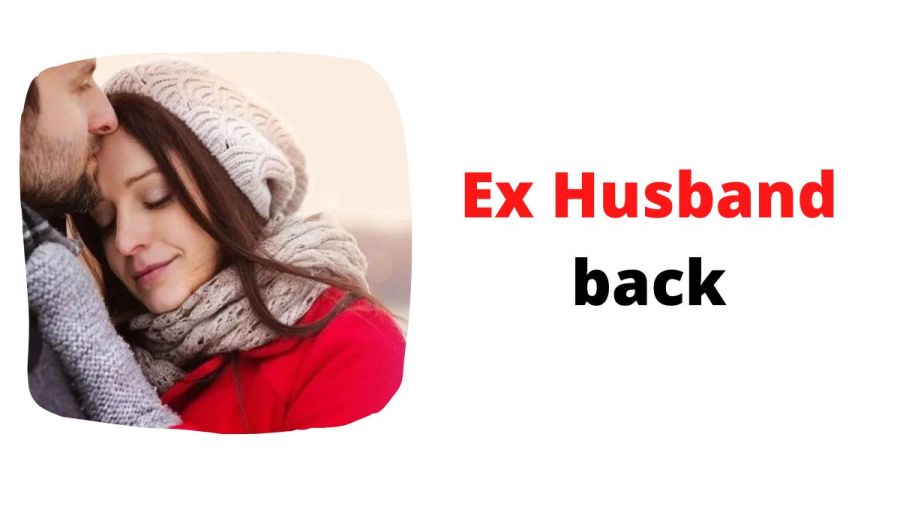 Ex Husband Back